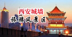 老妇露下体中国陕西-西安城墙旅游风景区